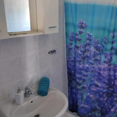 Apartment Hanna Grebastica